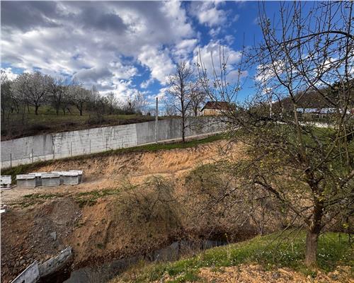 Teren intravilan , ideal cabane, Baita , zona centrala