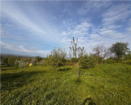 Casa cu etaj la rosu, Cicarlau , zona centrala