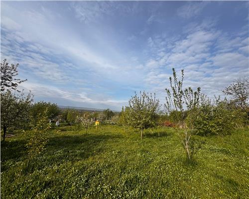 Casa cu etaj la rosu, Cicarlau , zona centrala