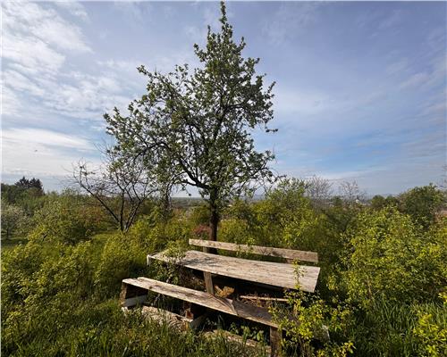 Casa cu etaj la rosu, Cicarlau , zona centrala