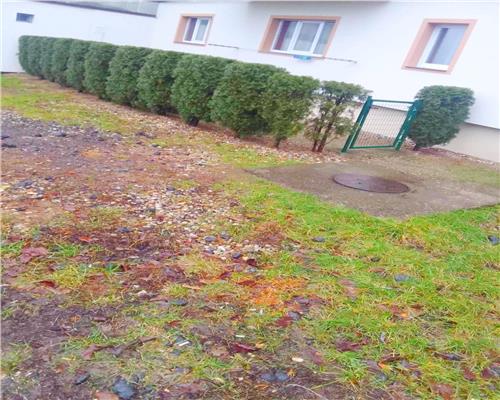 Apartament 2 camere, Livada, central