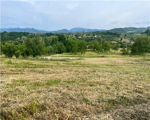 Teren intravilan, 25 ari, Danesti