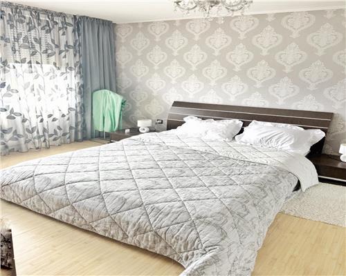 Apartament 2 camere, decomandat , Independentei, zona Rfn