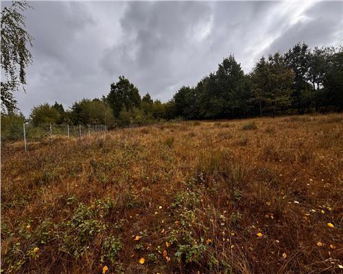 Teren intravilan, 12 ari, str. Murelor cu acces din str. Dumbravei, Baia Mare