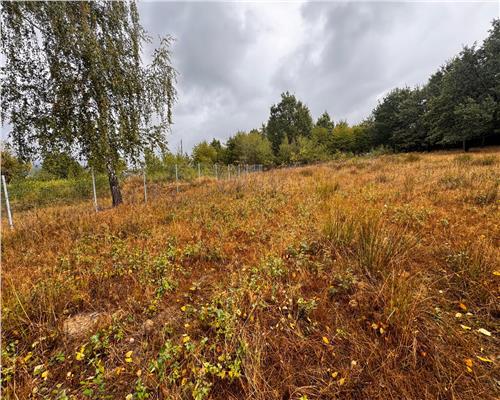 Teren intravilan, 12 ari, str. Murelor cu acces din str. Dumbravei, Baia Mare