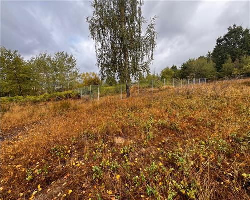 Teren intravilan, 12 ari, str. Murelor cu acces din str. Dumbravei, Baia Mare