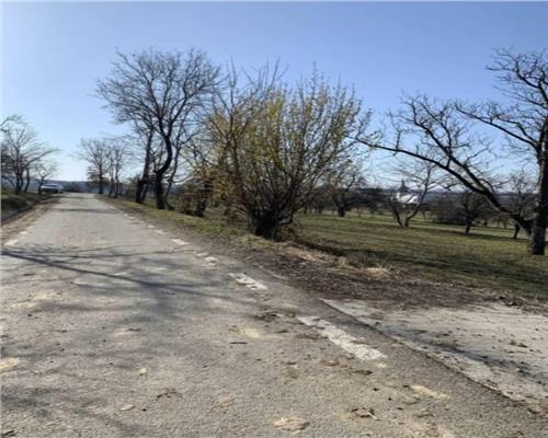 Tren intravilan, situat in zona numita Coasta, loc. Sindresti , cpm. Dumbravita