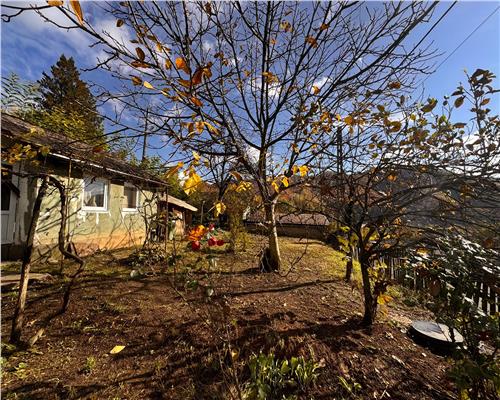 Casa batraneasca in Ferneziu, cu 6 ari teren