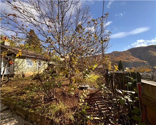 Casa batraneasca in Ferneziu, cu 6 ari teren